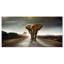 «Single Walking Elephant», reproduction de photo sur toile tendue-25539797-33267641