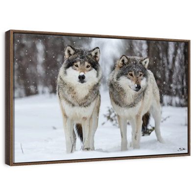 Wolves In Langedrag Nature Park