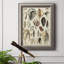 " Seashell Display "-403385114