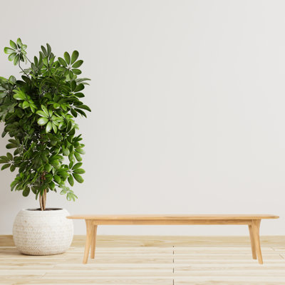 Banc Hewett 8 pi