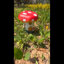 Tabouret de jardin décoratif en résine Azyrkon 13,4 po en forme de champignon