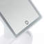 Annandale Flat Floor Mirror