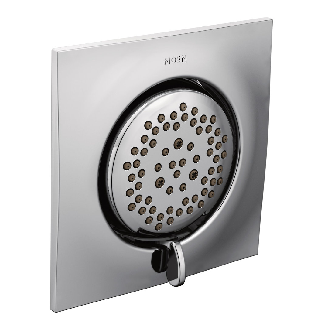 Mosaic Multi Function Adjustable Shower Head Moen 