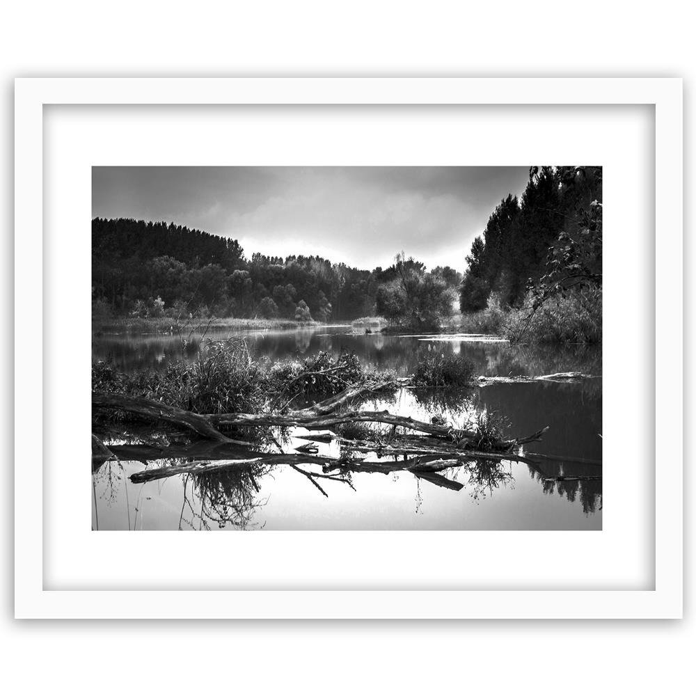 Gerahmter Fotodruck Umgestürzter Baum im See 2