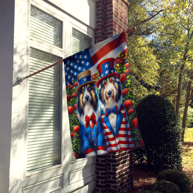 Drapeau «All American House», Colley barbu