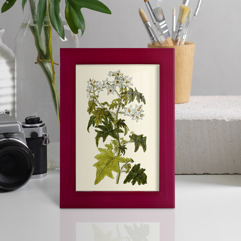 Olive Greenery VI - reproduction d'un seul cadre photo, H 8 po x l 6 po x P 1 po, Rouge