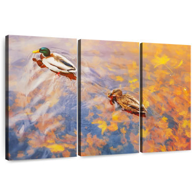 Canards flottant sur un étang