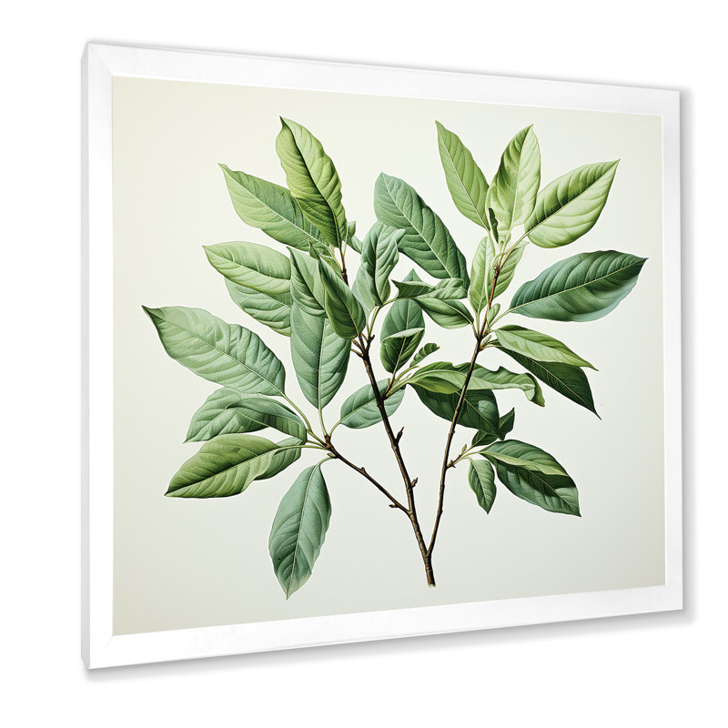 Menthe fraîche, minimalisme, feuilles, sérénité I, H 24 po x l 24 po x P 1 po, Cadre simple blanc