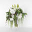 Pivoine en vase