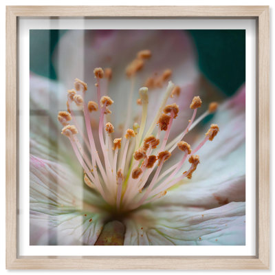 Forest of Anthers II Shadowbox Print Floral Wall Art by Notoriart, Blonde Frame, 25 x 25