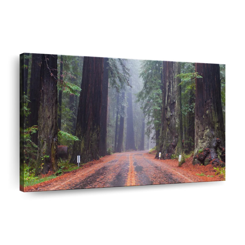 «Road To A Redwood Forest», reproduction sur toile, H 32 po x l 48 po x P 1,25 po