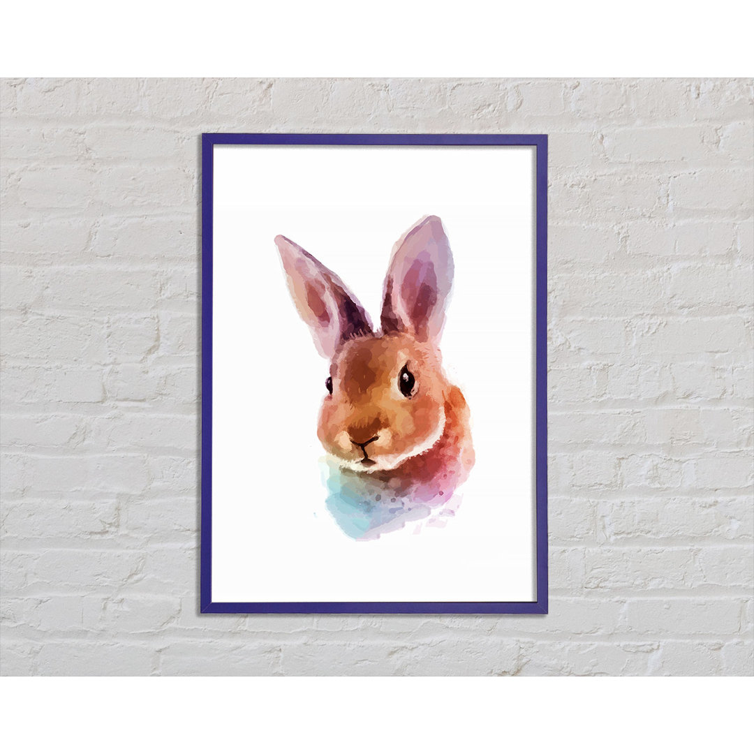 Gerahmtes Bild Rabbit Portrait