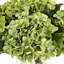 Hortensias dans un vase en verre-106608490-68378897