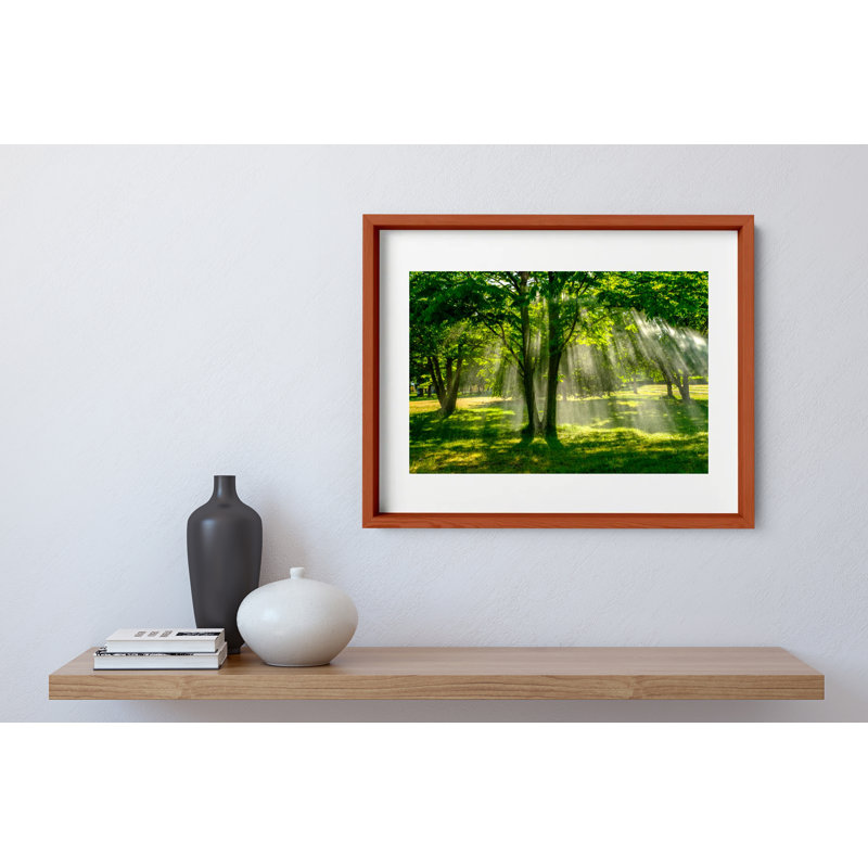 Summer Rain Print by Joseph Regan, 14" H x 16" W x 0.75" D, Cherry