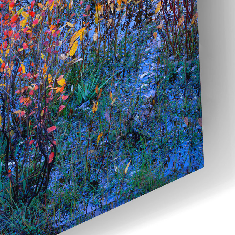 Art mural en verre acrylique 24 po x 16 po «Colorful Brush and Reflection» par Jim Becia, H 16 po x l 24 po