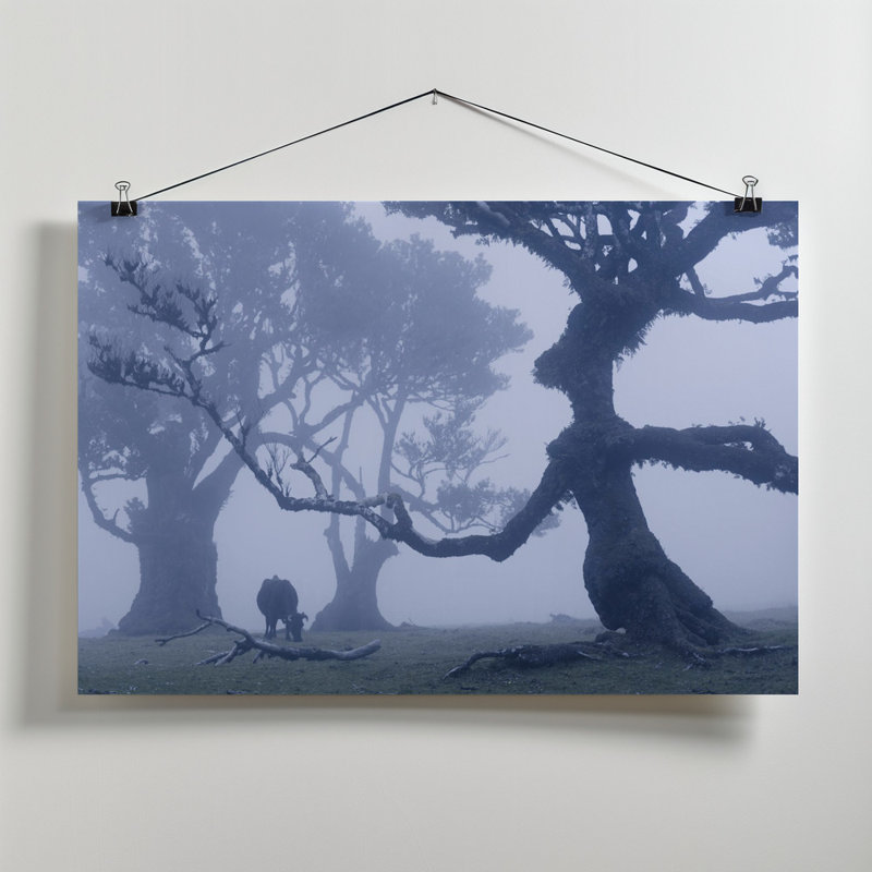 Ent, 60.96 cm H x 91.44 cm W