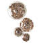 4 Piece Glass Wall Mushroom Set-Metallic