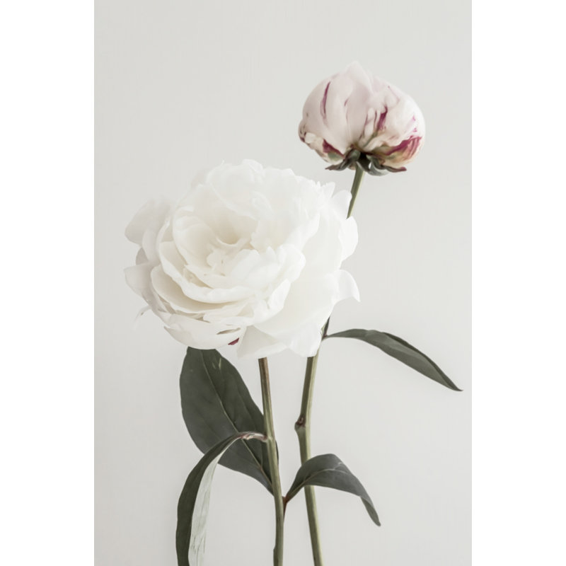 Wrapped Canvas Print, 50.8 cm H x 76.2 cm W