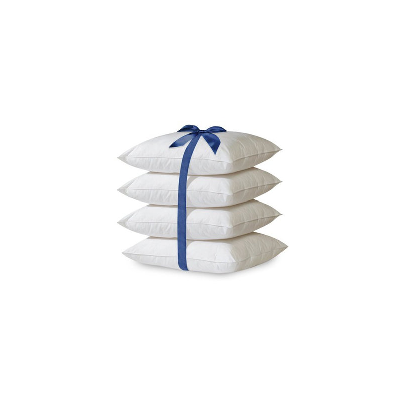 Ensemble de 2 coussins décoratifs en duvet synthétique hypoallergénique (20 po x 20 po)