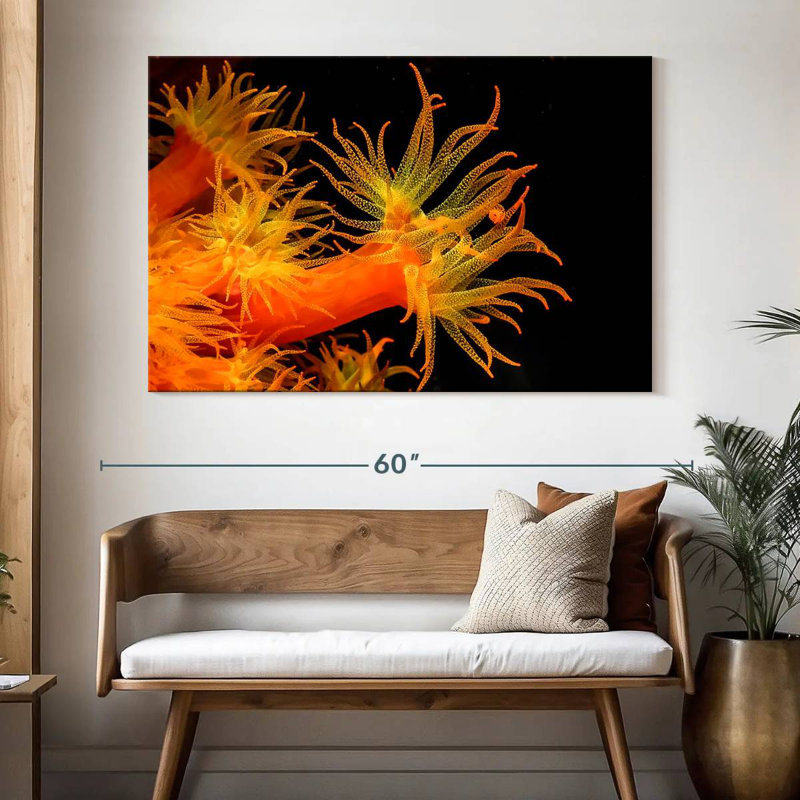 Brampt Sun Polyps, 34" H x 51" W