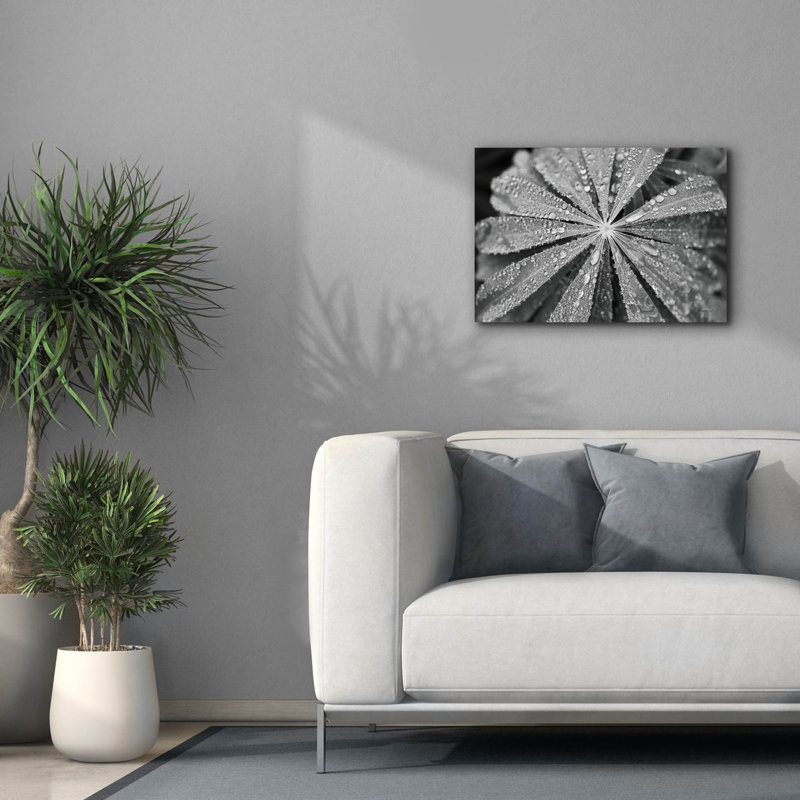 «Raindrops On Lupin» par Laura Marshall, art mural sur toile, 26 po x 18 po, H 18 po x l 26 po x P 0,75 po