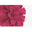 Housse de coussin Floral-88582383-88582381