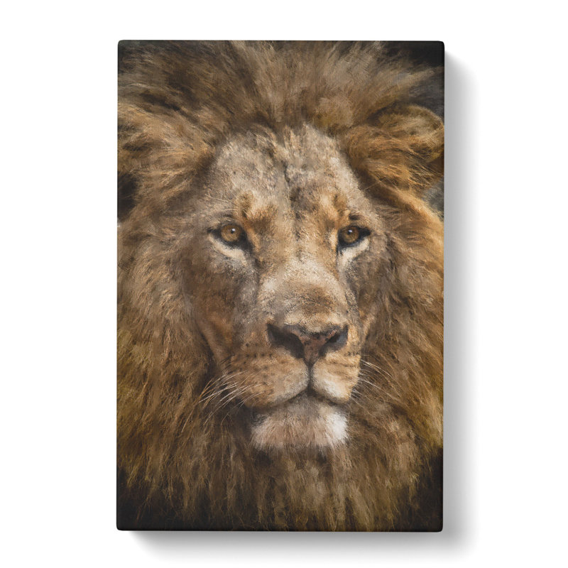 Face Of A Lion - Wrapped Canvas Print, 50cm H x 35cm W x 3cm D