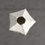Star Fruit Vase-64402281