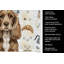 Serviette de cuisine Coffee Bar-1234934654