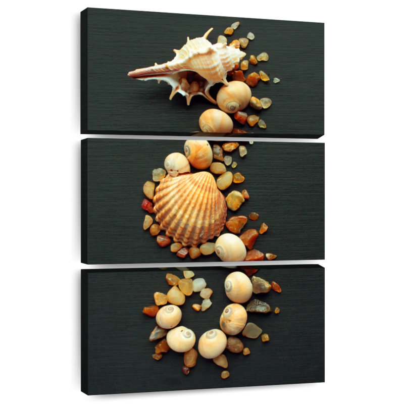Seashell seahorse Aletra, H 32 po x l 20 po