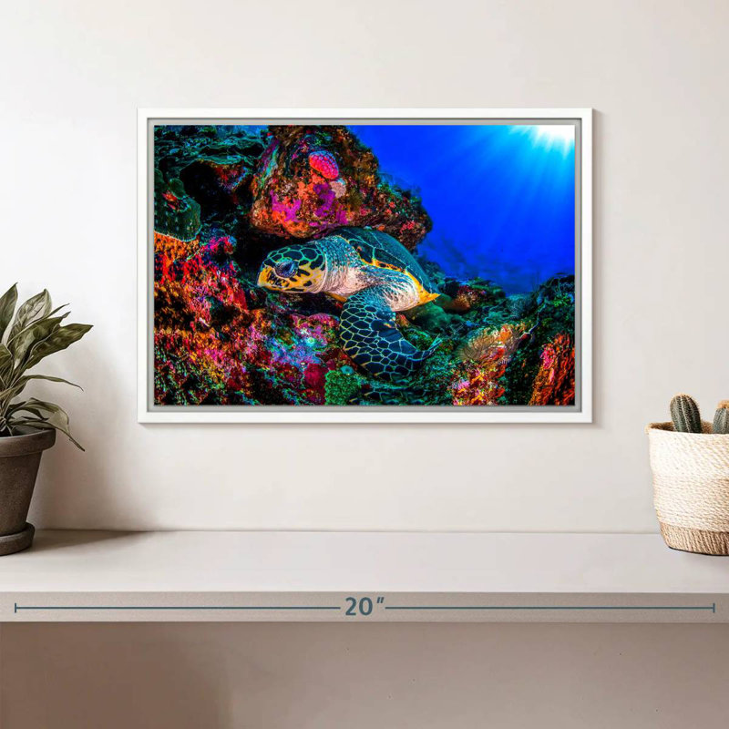Tortue océan monde, Cadre flottant blanc, 13 po x 9 po