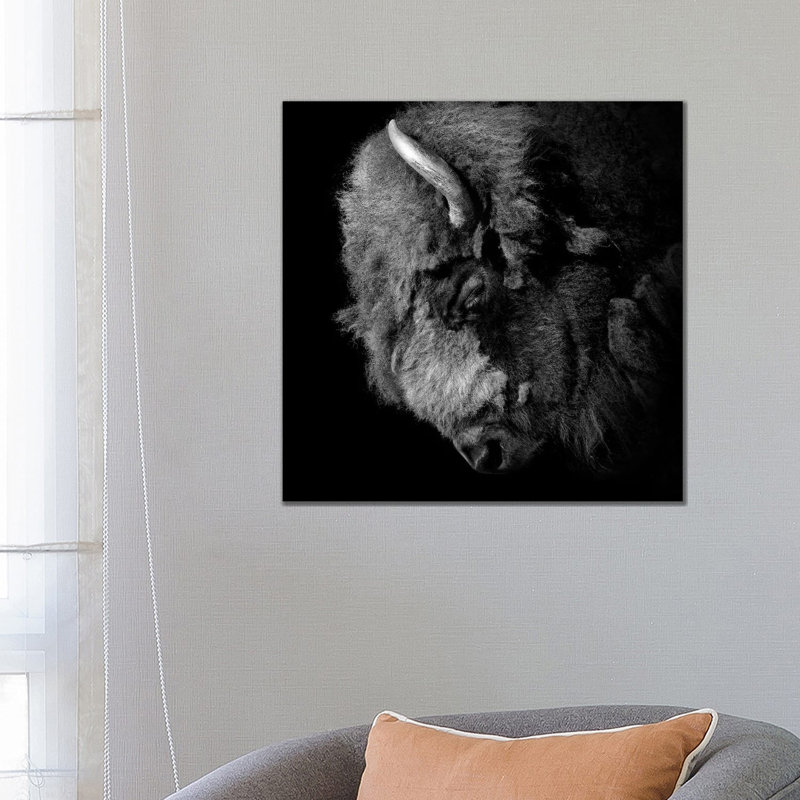 Buffalo In Black And White by Lukas Holas - Wrapped Canvas Print, 66.04cm H x 66.04cm W x 1.905cm D