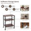 Alayjiah Metal Bar Cart