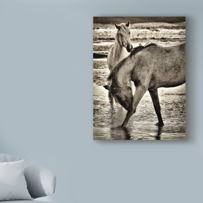 Farmhouse / Country