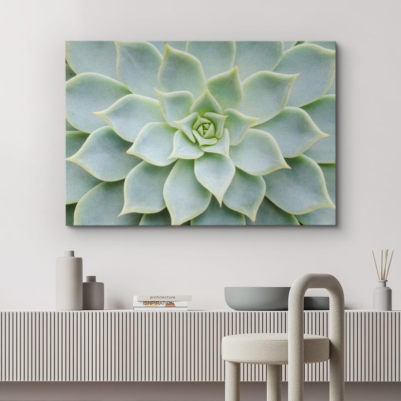 «Green Rose Succulent Southwest» sur, H 32 po x l 48 po