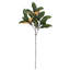 SEASONAL GREENERY STEM S/4 MAGNOLIA GREEN 36IN