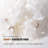 94.49" White 100% Polyester Modular Sofa cushion couch-107578486-107578468