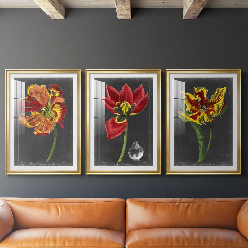 Midnight Tulip I - impression sur mesure encadrée de qualité supérieure - 3 pièces, H 19 po x l 27 po