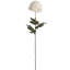 Arrangement-890036935