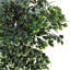 185cm Faux Zamioculcas Tree in Freestanding