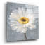 «Paris Blossom 1 Gray» par Danhui Nai, art mural en verre acrylique-493284703