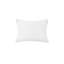 Monaco Square Pillow Cover & Insert-1219289220