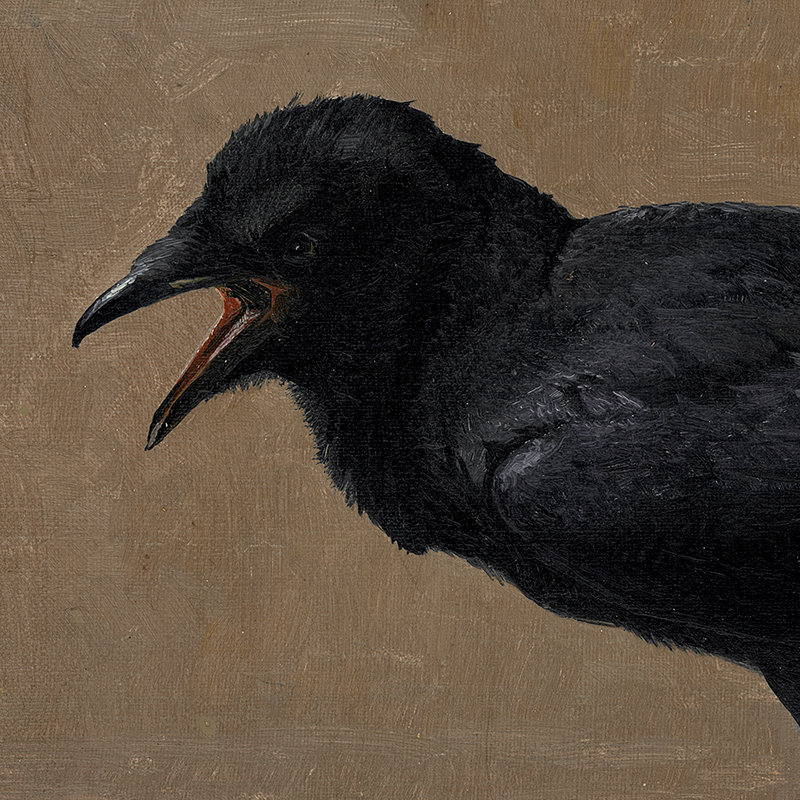 The Caw Print