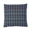 Zealand Check Pillow