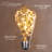 Kallie Outdoor 10 - Bulb 30'' Plug-in String Light-2002467217