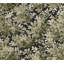 Greenwood Moss Deciduous Wallpaper-846703808