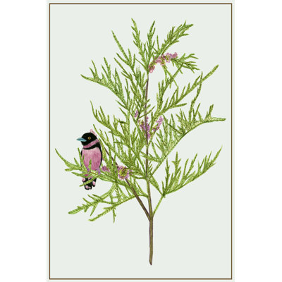 Urtica Cannabina II by Melissa Wang - Wrapped Canvas Art Prints