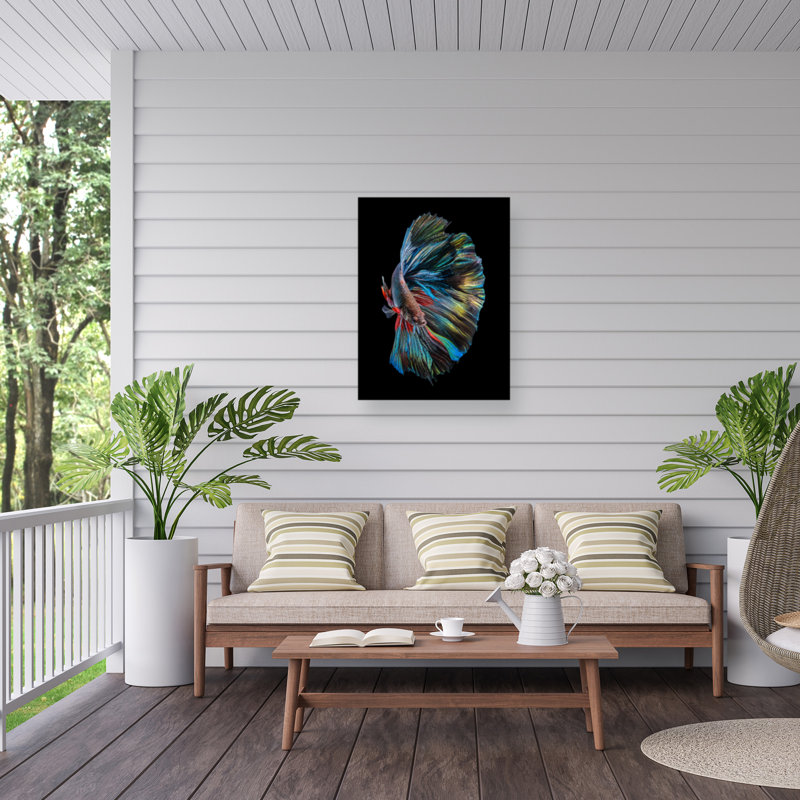 Andi Halil, le poisson Betta sur toile, H 32 po x l 24 po