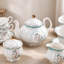 Astoria Grand Stovetop Safe Teapot Set Teapot For