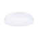 Flush Ceiling Light